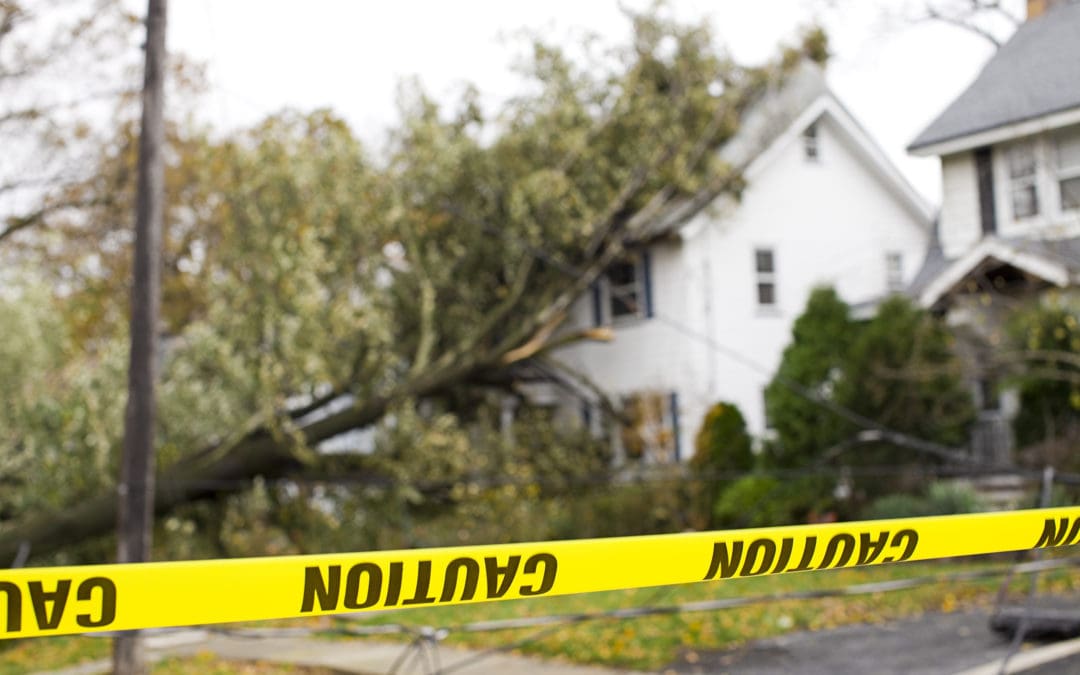 Modern Building Codes Could Prevent $1.6 Billion in Natural Disaster Damages Annually