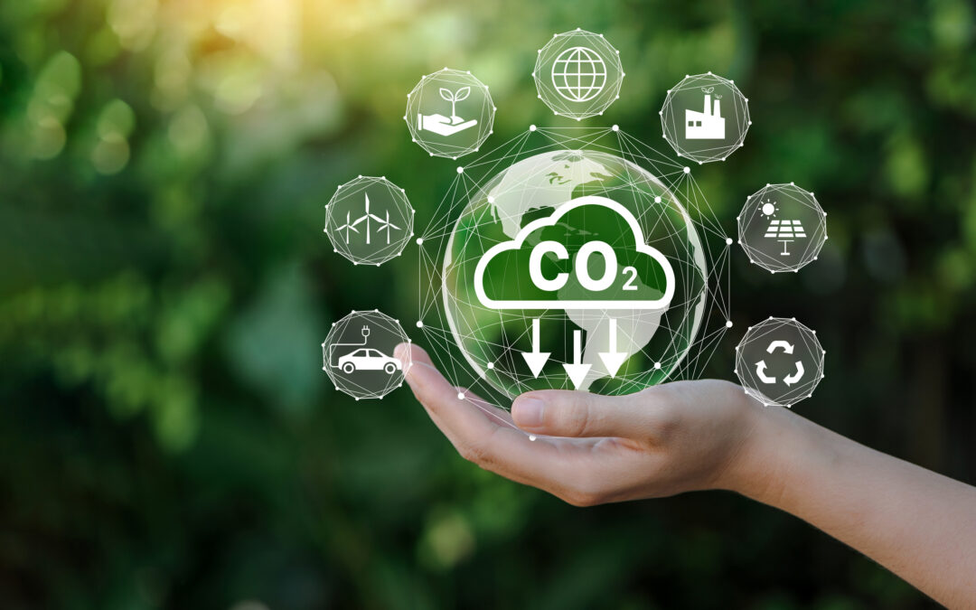 UN Reports First Positive Sustainability Progress Since2020: Experts Say Green Certificates Not Enough